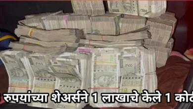 Multibagger Stock