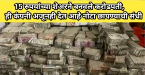 Multibagger stocks 